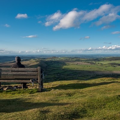 Finger on the pulse to support Telford and Shropshire’s Visitor Economy, despite national lockdown