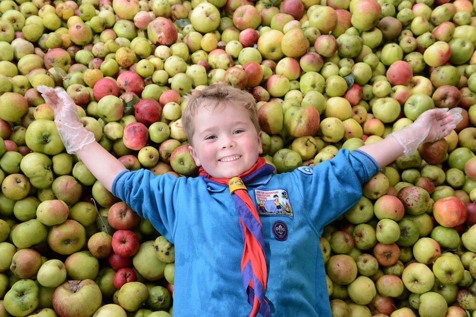Core, what a lot of apples: Ironbridge event sees 800 litres of juice produced